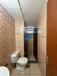 https://img.olx.com.br/thumbs256x256/52/527508287906165.jpg