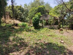 https://img.olx.com.br/thumbs256x256/52/527534044330947.jpg