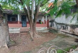https://img.olx.com.br/thumbs256x256/52/527595285306564.jpg