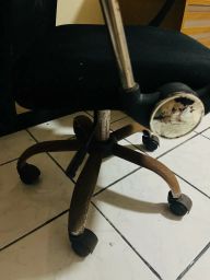 https://img.olx.com.br/thumbs256x256/52/528595769405066.jpg