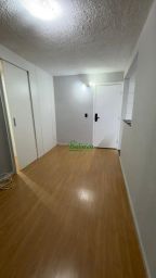 https://img.olx.com.br/thumbs256x256/52/528664448422339.jpg