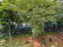 https://img.olx.com.br/thumbs256x256/52/529564642774313.jpg