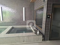https://img.olx.com.br/thumbs256x256/52/529585281572760.jpg