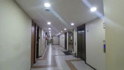 https://img.olx.com.br/thumbs256x256/52/529600548634788.jpg