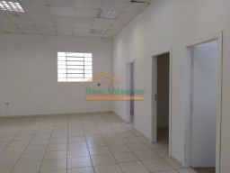https://img.olx.com.br/thumbs256x256/53/530526286156329.jpg