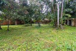 https://img.olx.com.br/thumbs256x256/53/530533402629816.jpg