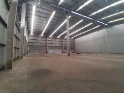https://img.olx.com.br/thumbs256x256/53/530596512827423.jpg