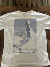 https://img.olx.com.br/thumbs256x256/53/531444951080986.jpg