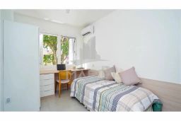 https://img.olx.com.br/thumbs256x256/53/531509287759345.jpg