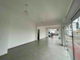 https://img.olx.com.br/thumbs256x256/53/531529168629005.jpg