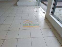https://img.olx.com.br/thumbs256x256/53/531531164259770.jpg