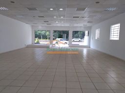 https://img.olx.com.br/thumbs256x256/53/531551762294963.jpg
