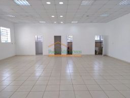 https://img.olx.com.br/thumbs256x256/53/531552643234516.jpg