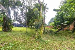 https://img.olx.com.br/thumbs256x256/53/531556768298889.jpg