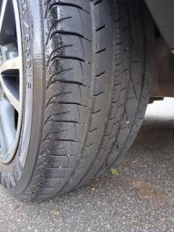 https://img.olx.com.br/thumbs256x256/53/531607851291555.jpg