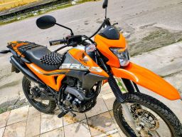 https://img.olx.com.br/thumbs256x256/53/532512752166645.jpg
