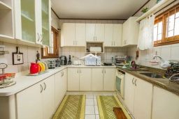 https://img.olx.com.br/thumbs256x256/53/532592032118604.jpg