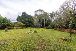 https://img.olx.com.br/thumbs256x256/53/533578769849308.jpg