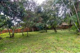 https://img.olx.com.br/thumbs256x256/53/534544281014159.jpg