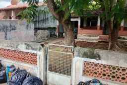 https://img.olx.com.br/thumbs256x256/53/534562408470355.jpg