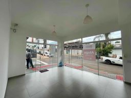 https://img.olx.com.br/thumbs256x256/53/535505407502271.jpg