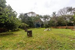 https://img.olx.com.br/thumbs256x256/53/535552525693318.jpg