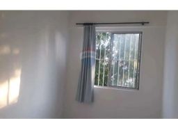 https://img.olx.com.br/thumbs256x256/53/536502401450585.jpg