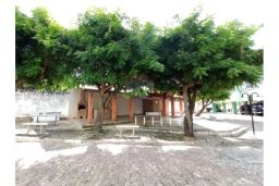 https://img.olx.com.br/thumbs256x256/53/536515880993791.jpg