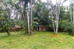 https://img.olx.com.br/thumbs256x256/53/536548165254058.jpg