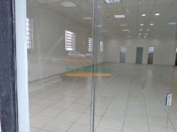 https://img.olx.com.br/thumbs256x256/53/536595407073786.jpg