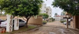 https://img.olx.com.br/thumbs256x256/53/537537767530895.jpg