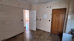 https://img.olx.com.br/thumbs256x256/53/537668080889909.jpg