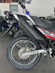 https://img.olx.com.br/thumbs256x256/53/538453460139377.jpg