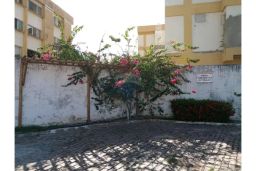 https://img.olx.com.br/thumbs256x256/53/538520765947726.jpg