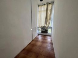 https://img.olx.com.br/thumbs256x256/53/538528408790958.jpg