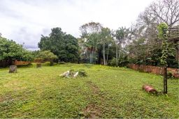 https://img.olx.com.br/thumbs256x256/53/539524641769181.jpg