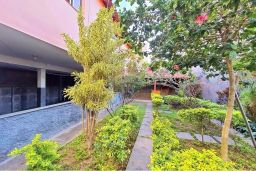 https://img.olx.com.br/thumbs256x256/53/539566279559787.jpg