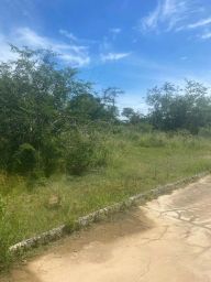 https://img.olx.com.br/thumbs256x256/53/539569883703182.jpg