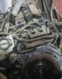 https://img.olx.com.br/thumbs256x256/54/540512741046711.jpg