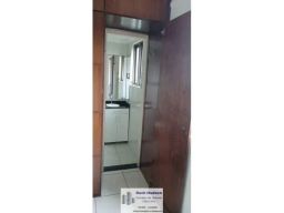 https://img.olx.com.br/thumbs256x256/54/540578517951179.jpg