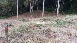 https://img.olx.com.br/thumbs256x256/54/541533521810302.jpg