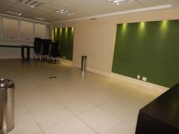 https://img.olx.com.br/thumbs256x256/54/541539645198543.jpg