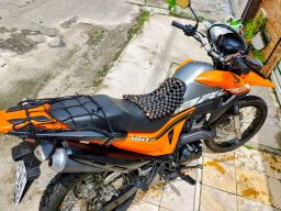 https://img.olx.com.br/thumbs256x256/54/542513156392829.jpg