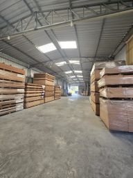 https://img.olx.com.br/thumbs256x256/54/542694906994547.jpg