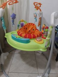 jumperoo fisher price olx