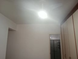 https://img.olx.com.br/thumbs256x256/54/543507289915923.jpg