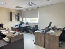 https://img.olx.com.br/thumbs256x256/54/543578765389440.jpg