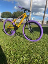 https://img.olx.com.br/thumbs256x256/54/543588743244436.jpg