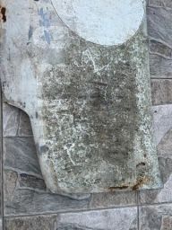 https://img.olx.com.br/thumbs256x256/54/544304705457337.jpg