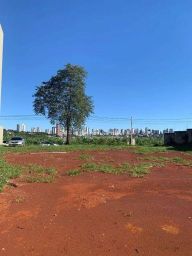 https://img.olx.com.br/thumbs256x256/54/544569041726875.jpg